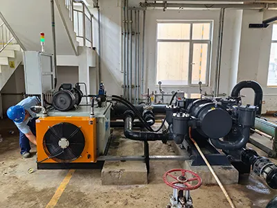 Horizontal Plunger Pump (for Screw Pump Replacement)