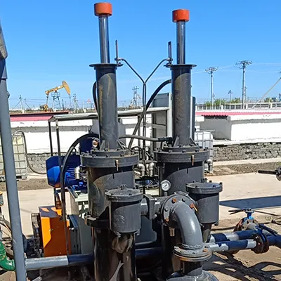 Vertical Plunger Pump (for Easy-Dewatering Slurries)