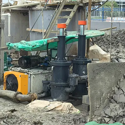 Vertical Plunger Pump (for Easy-Dewatering Slurries)